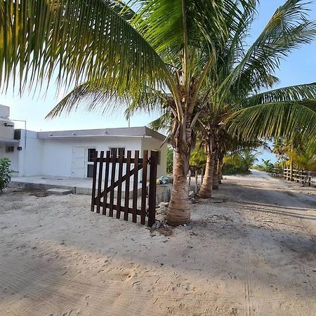 شقة Casa Perla Marina, Pequena Casa Frente A La Playa. إل كويو المظهر الخارجي الصورة