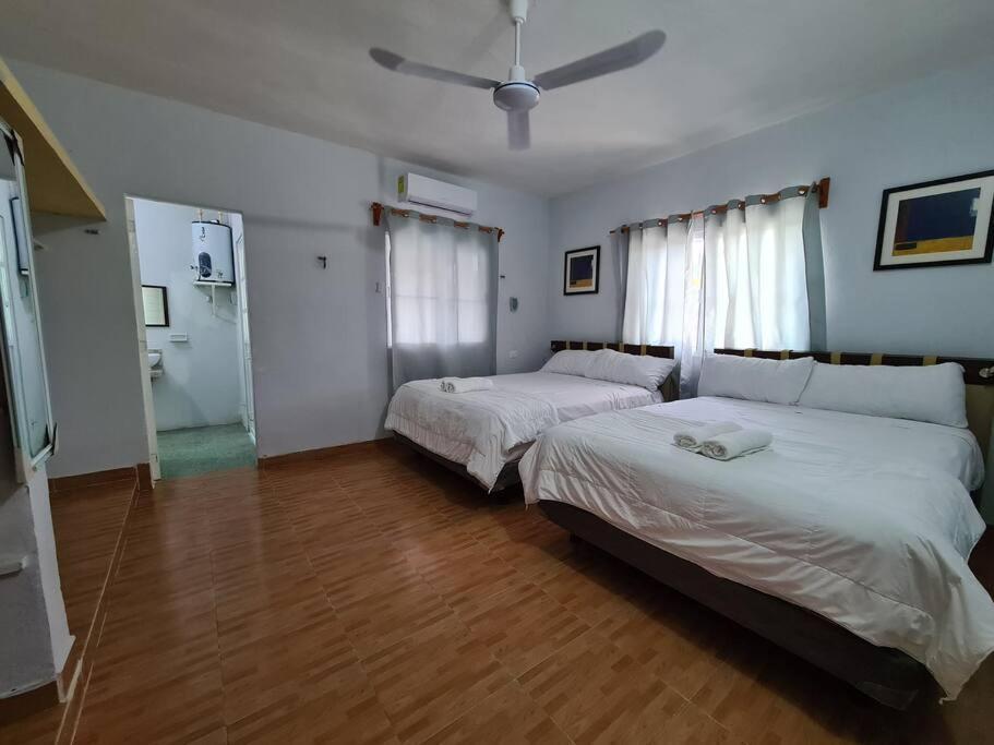 شقة Casa Perla Marina, Pequena Casa Frente A La Playa. إل كويو المظهر الخارجي الصورة