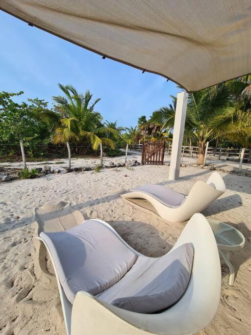 شقة Casa Perla Marina, Pequena Casa Frente A La Playa. إل كويو المظهر الخارجي الصورة